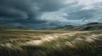 Windswept Loneliness